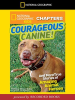 Courageous_Canine
